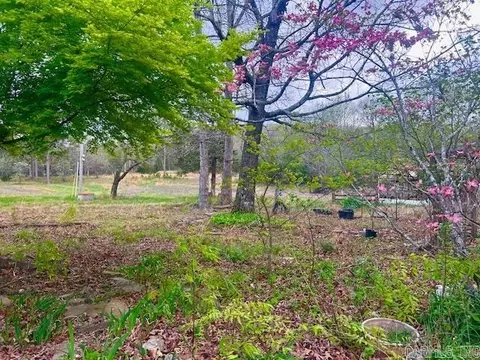 Exterior - 397 Fox Hollow Rd, Fox, AR 72051 photo 5 of 12
