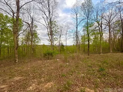 Other - 397 Fox Hollow Rd, Fox, AR 72051 photo 22 of 26