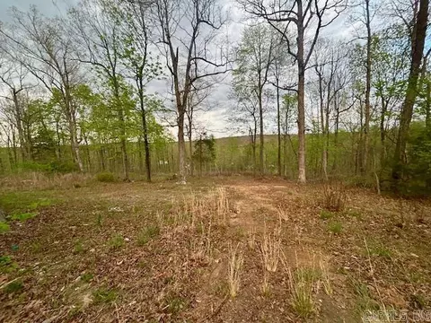 Exterior - 397 Fox Hollow Rd, Fox, AR 72051 photo 10 of 12