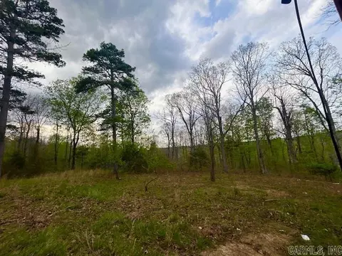 Other - 397 Fox Hollow Rd, Fox, AR 72051 photo 20 of 26
