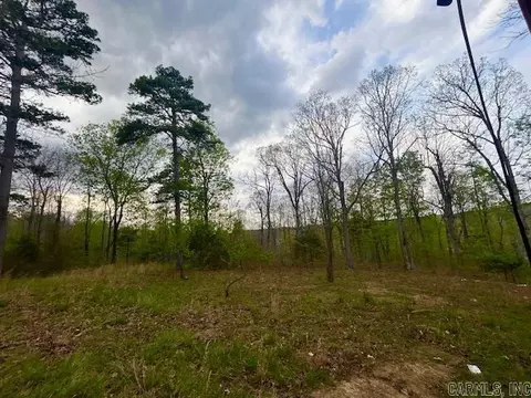 Other - 397 Fox Hollow Rd, Fox, AR 72051 photo 20 of 26