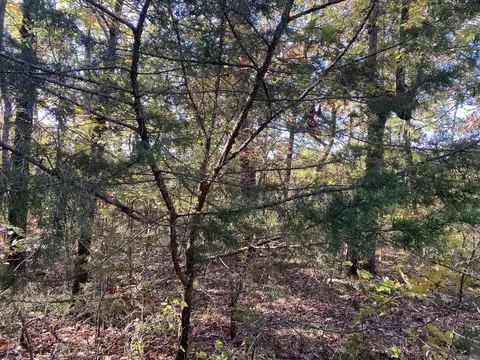 000 Jensen Rd, Mountain View, AR 72560 photo 13