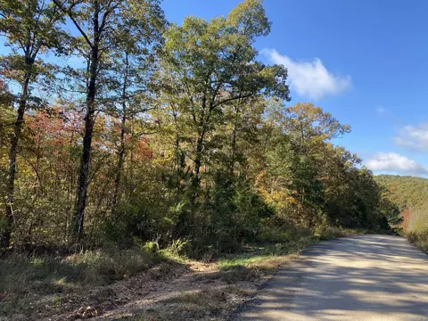 000 Jensen Rd, Mountain View, AR 72560 photo 9