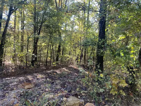 000 Jensen Rd, Mountain View, AR 72560 photo 7