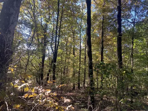 000 Jensen Rd, Mountain View, AR 72560