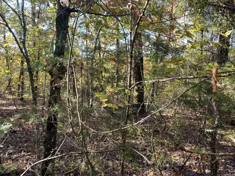 000 Jensen Rd, Mountain View, AR 72560 photo 14