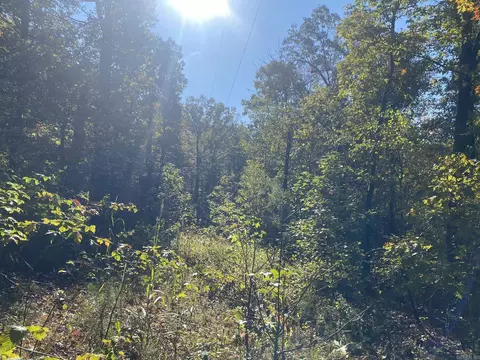 000 Jensen Rd, Mountain View, AR 72560 photo 4