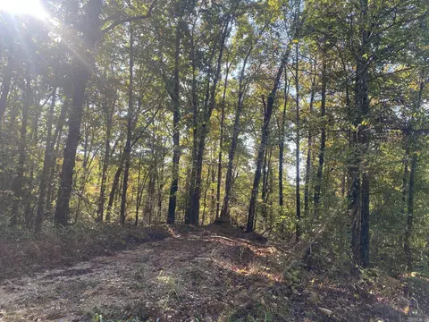000 Jensen Rd, Mountain View, AR 72560 photo 15