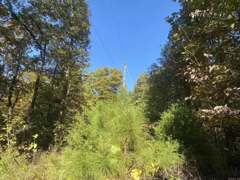 000 Jensen Rd, Mountain View, AR 72560 photo 3