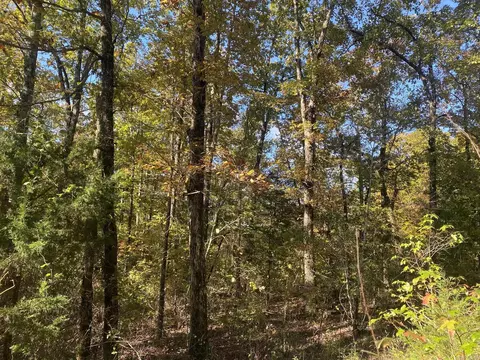 000 Jensen Rd, Mountain View, AR 72560 photo 5