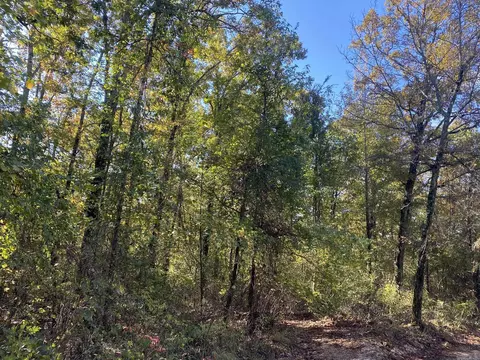 000 Jensen Rd, Mountain View, AR 72560 photo 8