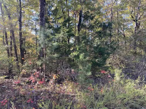 000 Jensen Rd, Mountain View, AR 72560 photo 11