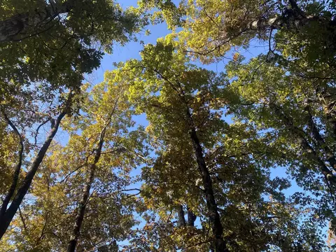 000 Jensen Rd, Mountain View, AR 72560 photo 2