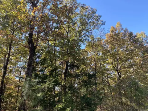 000 Jensen Rd, Mountain View, AR 72560 photo 10