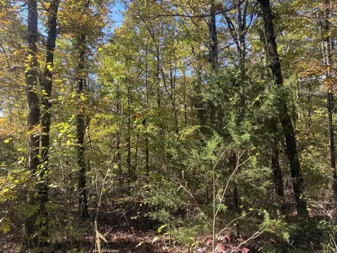 000 Jensen Rd, Mountain View, AR 72560 photo 6