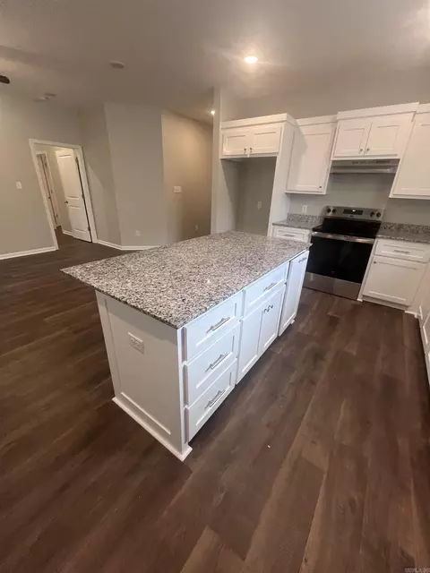 Kitchen - 2010 Jackman, Benton, AR 72015 photo 2 of 3