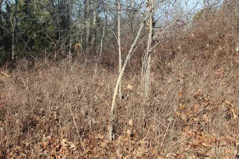 905 Fallen Tree, Marshall, AR 72650 photo 10