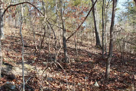 905 Fallen Tree, Marshall, AR 72650 photo 30