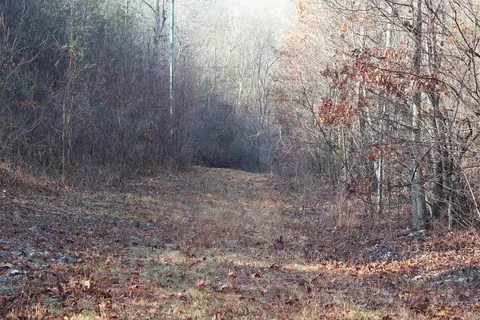 905 Fallen Tree, Marshall, AR 72650 photo 15