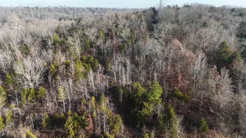 905 Fallen Tree, Marshall, AR 72650