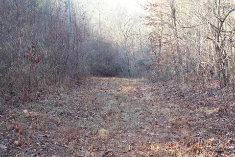 905 Fallen Tree, Marshall, AR 72650 photo 19