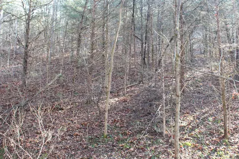 905 Fallen Tree, Marshall, AR 72650 photo 40