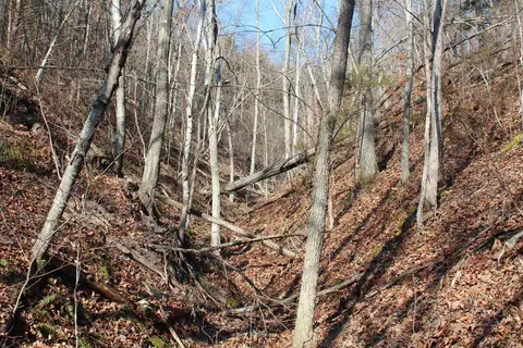 905 Fallen Tree, Marshall, AR 72650 photo 33