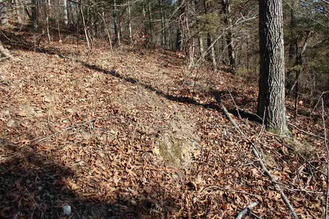 905 Fallen Tree, Marshall, AR 72650 photo 36