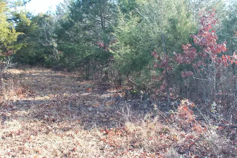 905 Fallen Tree, Marshall, AR 72650 photo 27