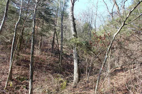 905 Fallen Tree, Marshall, AR 72650 photo 37