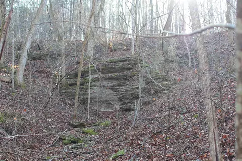 905 Fallen Tree, Marshall, AR 72650 photo 16