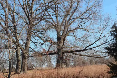 905 Fallen Tree, Marshall, AR 72650 photo 13