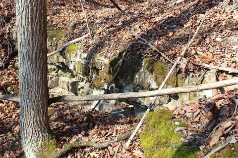 905 Fallen Tree, Marshall, AR 72650 photo 34