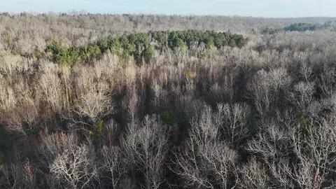 905 Fallen Tree, Marshall, AR 72650 photo 2