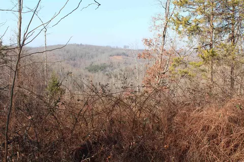 905 Fallen Tree, Marshall, AR 72650 photo 7