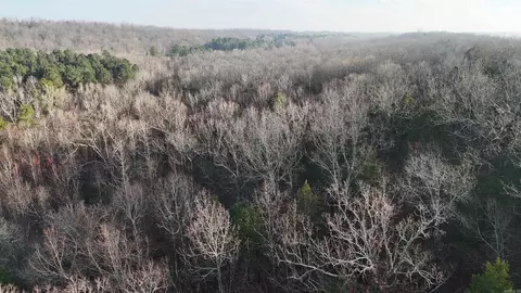 905 Fallen Tree, Marshall, AR 72650 photo 4
