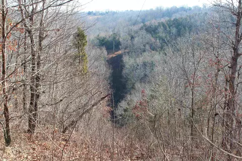 905 Fallen Tree, Marshall, AR 72650 photo 29