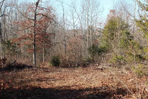 905 Fallen Tree, Marshall, AR 72650 photo 28