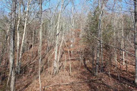 905 Fallen Tree, Marshall, AR 72650 photo 23