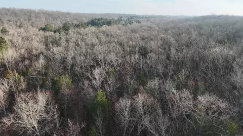 905 Fallen Tree, Marshall, AR 72650 photo 5