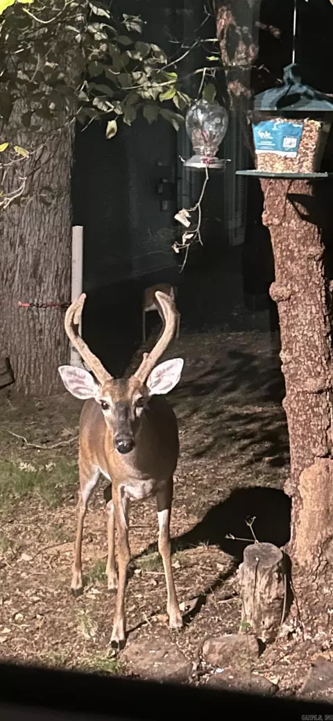 tbd Moss Rd, Benton, AR 72019 photo 4
