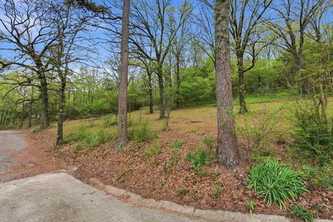 Exterior - 175 Acklin Gap Rd, Conway, AR 72032 photo 4 of 7