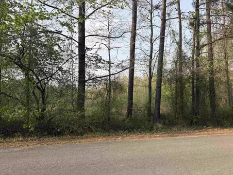 1507 Dixon, Pine Bluff, AR 71602 photo 2