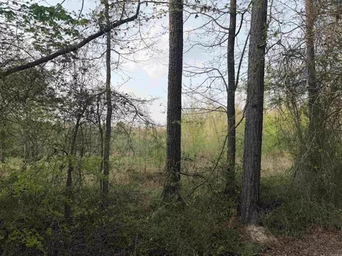 1507 Dixon, Pine Bluff, AR 71602 photo 3