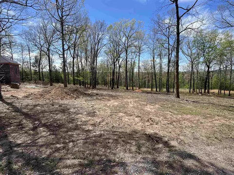 Exterior - 5 Talon Ln, Edgemont, AR 72044 photo 6 of 8