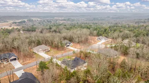View/Area - 36 Sky Eagle Dr, Greenbrier, AR 72058 photo 4 of 5