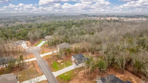 View/Area - 36 Sky Eagle Dr, Greenbrier, AR 72058 photo 3 of 5