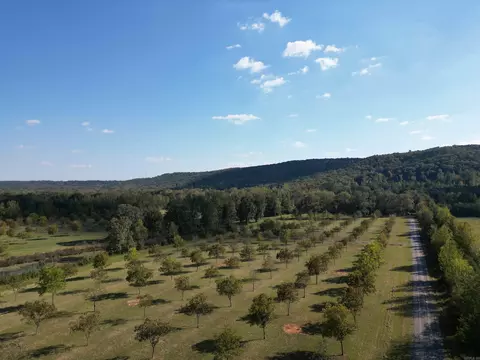 4231 E Hwy 337 E Pecan Point Dr, Heber Springs, AR 72543