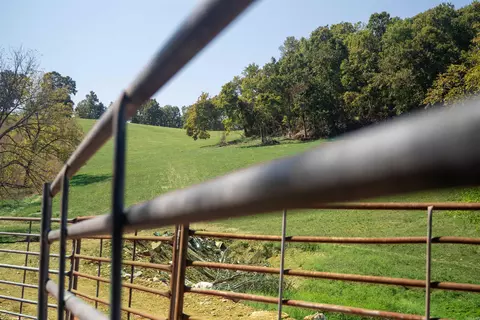 79 50 Ac Crochet Rd, Marshall, AR 72650 photo 21