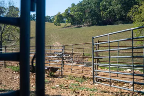79 50 Ac Crochet Rd, Marshall, AR 72650 photo 20